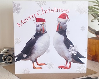 Puffin Christmas Card: Two Puffins in Santa Hats - fun christmas card