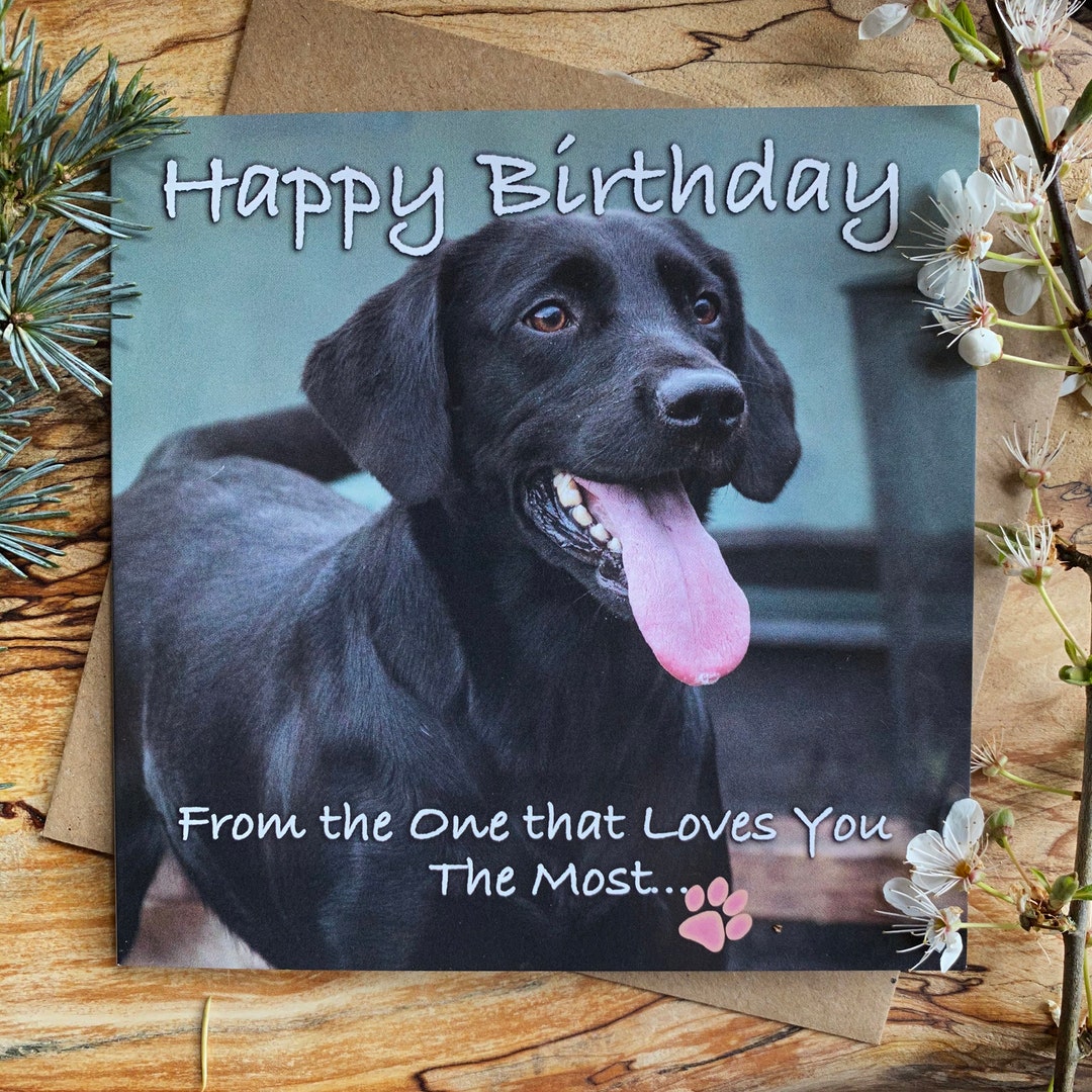 Happy Birthday From the Dogs From the One That Loves You the Most From the Dog Labrador Birthday