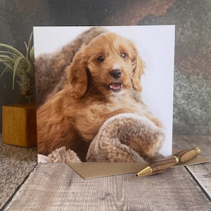 Cockapoo puppy greeting card - dog birthday card - cute puppy card - Blank inside any occasion card - Sandy colour cockapoo card