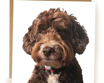 Cockapoo Greeting Card: Blank Inside, Dog Lover Card - card for dog owner - doodle dog card