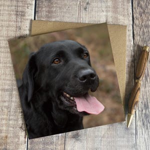 Black Labrador Greeting Card - Black Lab birthday card - Labrador greeting card - Black Labrador portrait card - Beautiful black lab card