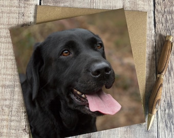 Black Labrador Portrait Greeting Card: Dog Lover Gift
