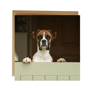 Carte de voeux pour chien boxer - vous me cherchez ? Carte de voeux pour chien boxer - carte d'anniversaire pour chien - carte pour toute occasion chien boxer - cadeau pour chien boxer
