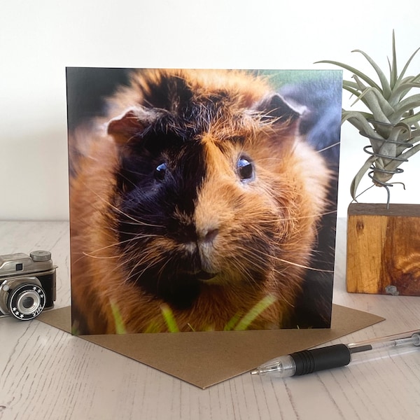 Guinea pig greeting card - Guinea pig birthday card - Guinea pig gift