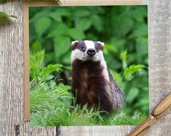 Badger greeting card - greeting card with cute badger  - wildlife card - badger card -badger birthday card