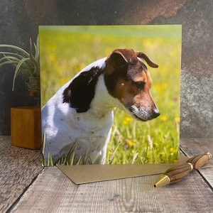 Carte de voeux Jack Russell - carte d'anniversaire de chien - carte de chien - carte vierge à l'intérieur de n'importe quelle occasion - carte Jack Russell