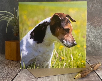 Jack Russell greeting card - dog birthday card - dog card - Blank inside any occasion card - Jack Russell card