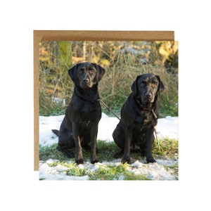 Two Black Labradors on Greeting Card - Labrador greeting card - black labrador card - Labradors birthday card - card for labrador lovers