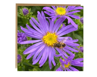 Purple Flower Greeting Card: Floral Birthday Card with Bee