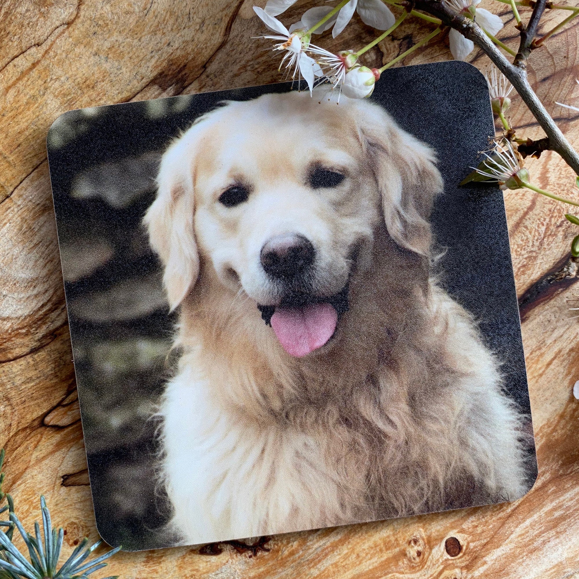Golden Retriever Dog Single Leather Photo Coaster Animal Breed Gift AD-GR58SC 