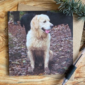 Golden retriever-wenskaart - retriever-wenskaart - hondwenskaart - Golden retriever-verjaardagskaart - hondenliefhebberkaart