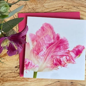 Papegaaitulpwenskaart - roze tulpkaart - bloem verjaardagskaart - tulp - vrouwelijke verjaardag - felicitaties - even een berichtje - tulpverjaardag
