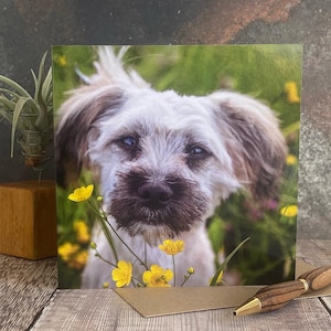 Very cute puppy greeting card - dog birthday card - dog card - Blank inside any occasion card - puppy dog card