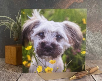 Very cute puppy greeting card - dog birthday card - dog card - Blank inside any occasion card - puppy dog card