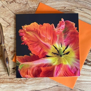 Parrot tulip greeting card - orange parrot tulip card - flower birthday card - female birthday- birthday wishe- just a note - tulip birthday
