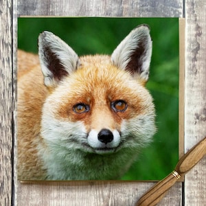 Fox-wenskaart - wenskaart met prachtige vos - wildlife-kaart - hertenkaart - Fox-verjaardagskaart
