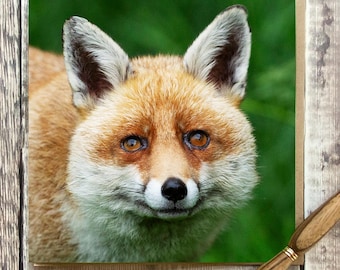 Fox greeting card - greeting card with beautiful fox  - wildlife card - Deer card -Fox birthday card