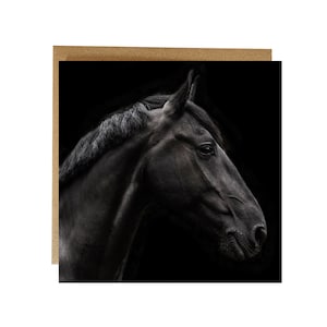 Horse Greeting Card, Beautiful brown horse portrait on a greeting card - HORSE CARD - Horse birthday card - Horse fine art card