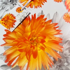Orange Dahlie Blumen Geschenkverpackung und Anhänger Set - leuchtend oranges hübsches Geschenkpapier für Mama - Geschenkpapier - Geschenk für Mama