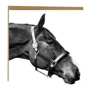 Paardwenskaart, zwart-witte kaart van een donkerbruin paard op een witte achtergrond, paardensportkaart - verjaardagskaart paard - paardenliefhebber