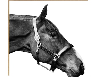Equestrian Horse Greeting Card: Black and White Photo