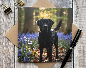 Black Labrador Greeting Card- labrador birthday card -  Blank Inside, Dog Lover Gift - card for groomer - card for pet sitter