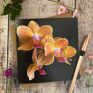 Carte de voeux orchidée - carte de voeux avec orchidées sur le devant - carte d'anniversaire florale - carte d'orchidée - carte d'anniversaire de fleur - carte d'orchidées