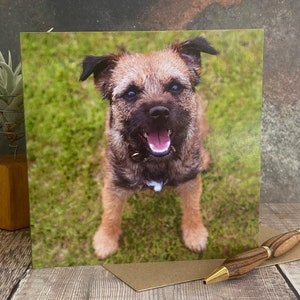 Border Terrier greeting card - dog birthday card - dog card - Blank inside any occasion card - lovely border terrier dog card