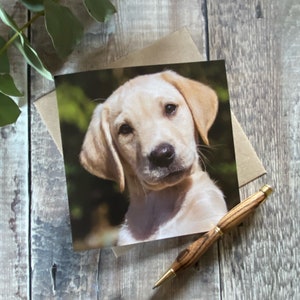 Gele labrador puppy wenskaart - labrador puppy kaart - labrador pup verjaardagskaart - labrador kaart - schattige puppy wenskaart - labrador