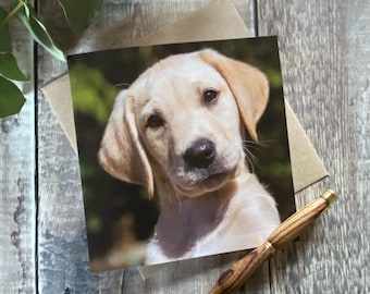 Yellow Labrador Puppy greeting card - labrador puppy card - Labrador pup birthday card - labrador card - cute puppy greeting card - labrador