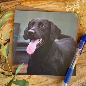 Labrador greeting card - Black Labrador birthday card - Labrador card, Black lab Birthday card, black lab Greeting card, big smiley face lab