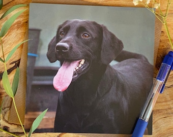 Black Labrador Greeting Card: Smiley Lab Birthday Card