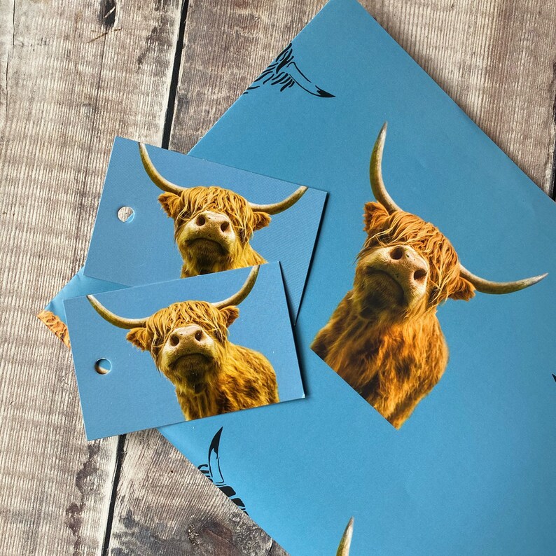 K&ouml;nnte beinhalten: Zwei blaue Geschenkanh&auml;nger mit einem Hochlandrind-Motiv. Die Anh&auml;nger sind leer und bereit zum Beschreiben.