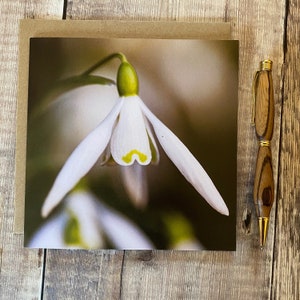 Carte de voeux perce-neige - jolie carte d'anniversaire perce-neige - carte fleur perce-neige - carte d'anniversaire - carte de rétablissement - carte d'anniversaire florale