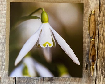 Tarjeta de felicitación con flores de campanilla de invierno: cumpleaños floral o pronta recuperación