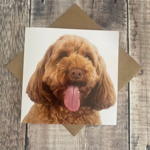 Carte de voeux cockapoo - carte d'anniversaire de chien - carte de chien - carte vierge à l'intérieur de n'importe quelle occasion - carte de cockapoo de couleur sable