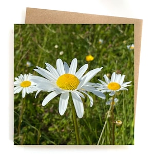 carte de fleur blanche - carte de marguerite - carte de voeux florale blanche - carte de fleur pour un ami - carte d'amie - carte de fleur de marguerite