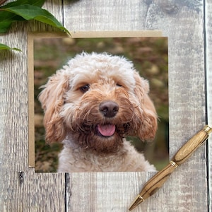 Carte de voeux cockapoo - carte d'anniversaire de chien - carte de chien - carte vierge à l'intérieur de n'importe quelle occasion - carte de cockapoo de couleur sable - carte de chien de griffonnage