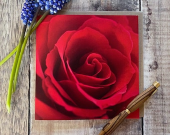 Red Rose Greeting Card: Floral Love Card