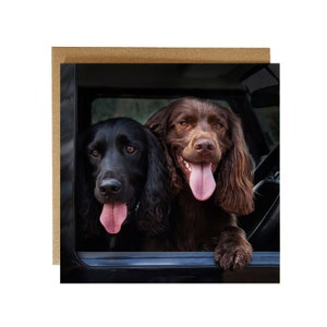 Carte de voeux pour chiens épagneuls - carte d'anniversaire épagneul - carte pour chien épagneul - carte pour amoureux des chiens