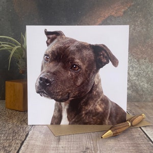 Staffordshire-bulterriër hond wenskaart - hond verjaardagskaart - hondenkaart - blanco binnen elke gelegenheidskaart - staffiehondkaart