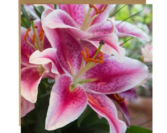 Pink Stargazer Lily Greeting Card: Floral Birthday Card