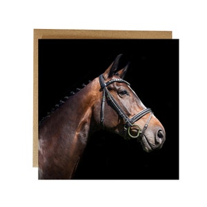 Carte de voeux cheval, fière allure, carte cheval - cadeau cheval - carte d'anniversaire