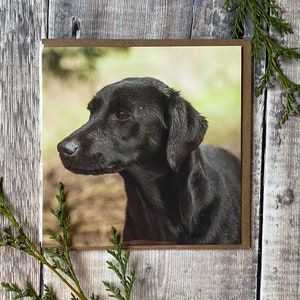 Carte labrador noir - carte visage jeune laboratoire noir - carte d'anniversaire labo noir - carte labrador - labrador noir - carte chien - de la carte du chien