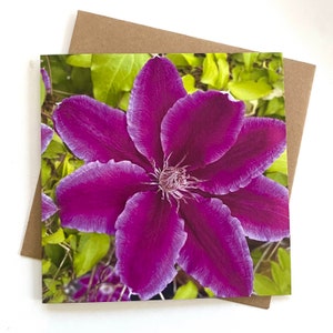 Carte de voeux clématite - carte de voeux fleur - carte fleur violette - carte floral - carte d'anniversaire femme - jolie carte fleur - clématite