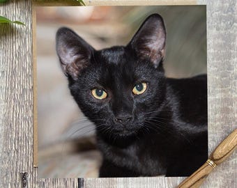 Black Cat greeting card- greeting card with a lovely black cat on the front - Cat birthday card - cat card - black kitten card - black cat