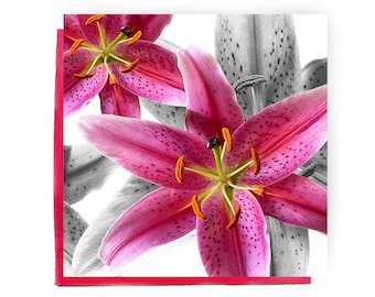 Stargazer Lily Greeting Card: Pink Floral Art Card