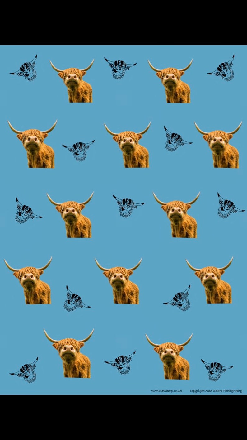 K&ouml;nnte beinhalten: Ein nahtloses Muster mit einem sich wiederholenden Design aus braunen schottischen Hochlandrindern mit schwarzen H&ouml;rnern auf hellblauem Hintergrund. Die Rinder sind nach vorne gerichtet und haben einen ernsten Ausdruck. Das Muster wiederholt sich &uuml;ber das gesamte Bild.