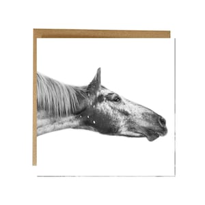 Carte de cheval - un bisou de cheval - carte de voeux de cheval noir et blanc - carte équestre - carte de portrait de cheval - carte d'anniversaire de cheval - amoureux des chevaux