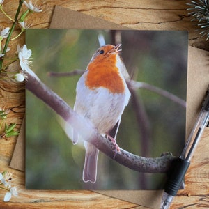 Carte de voeux Robin - carte avec merle des jardins - carte de voeux merle chantant - carte de voeux jardin de campagne anglais